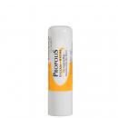 Propolis Balsam Stift Display á 15 Stifte