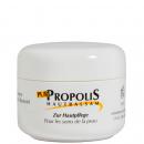 Propolis Pur Hautbalsam Tiegel